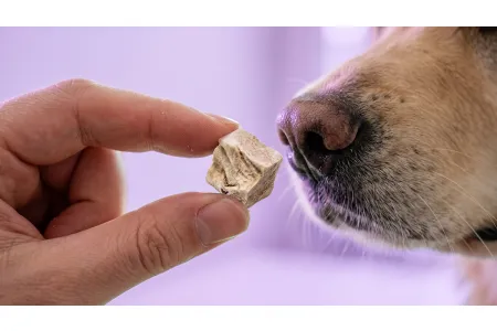 article-img-Сублімовані смаколики із субпродуктів для собак та котів: Freeze-Dried для BARF-раціону