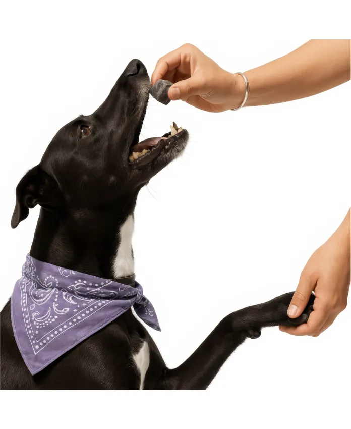 Freeze-dried beef lungs with blueberries