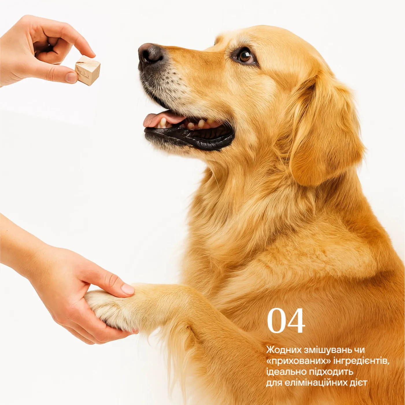 Freeze-dried chicken gizzards