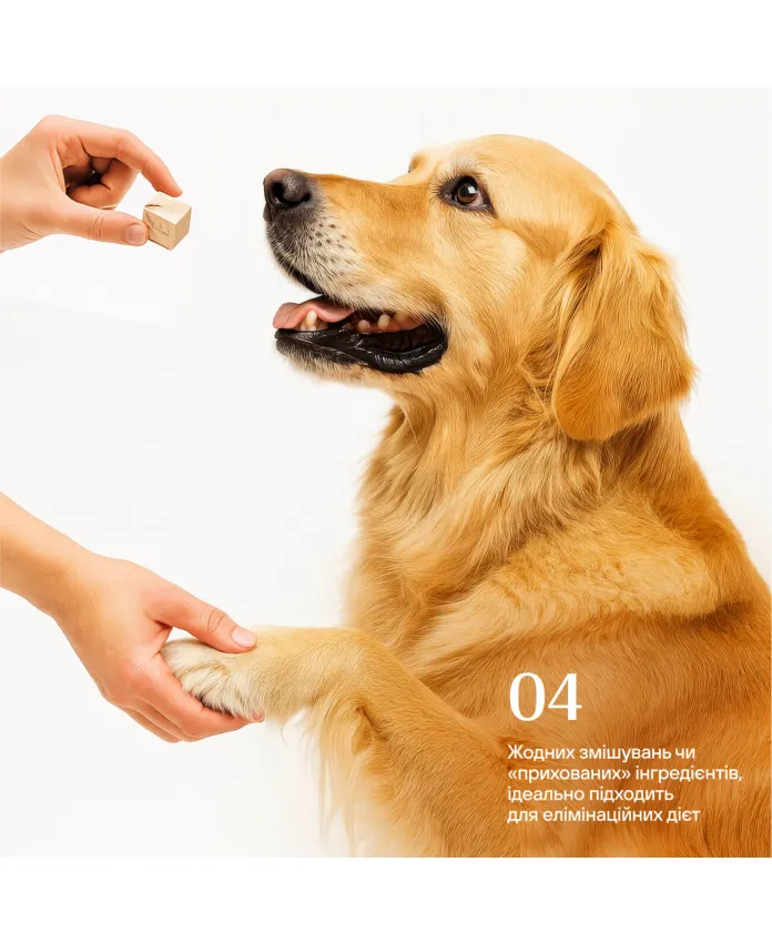 Freeze-dried chicken gizzards