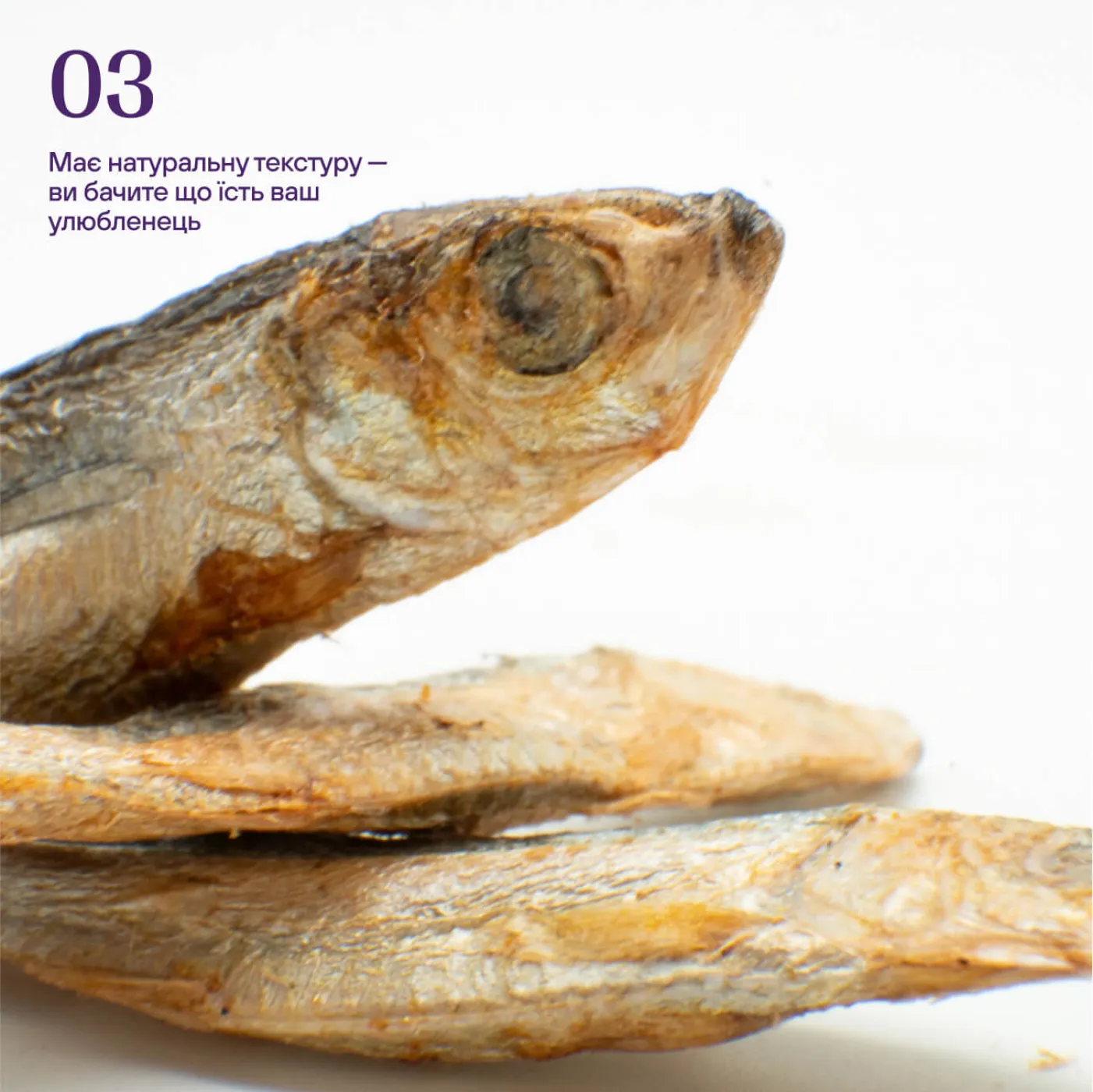 Ліофілізовані кільки для котів