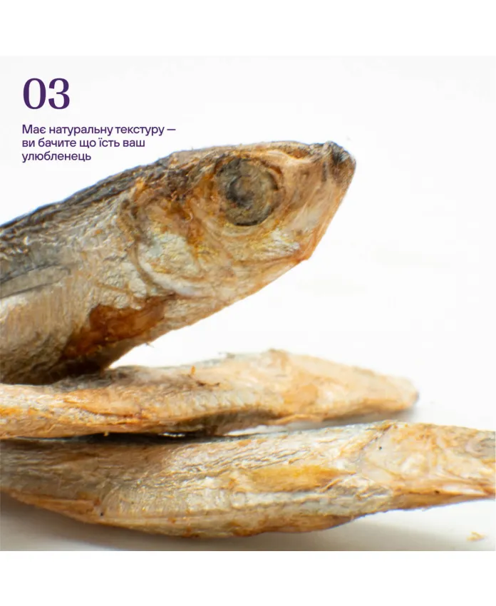 Ліофілізовані кільки для котів