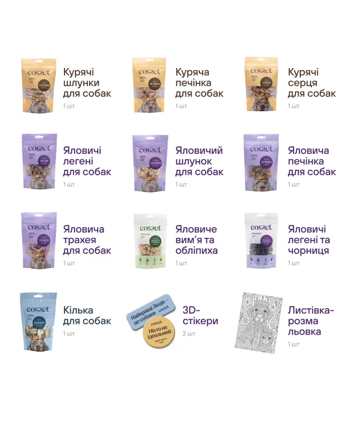 Зимовий подарунковий набір для собак