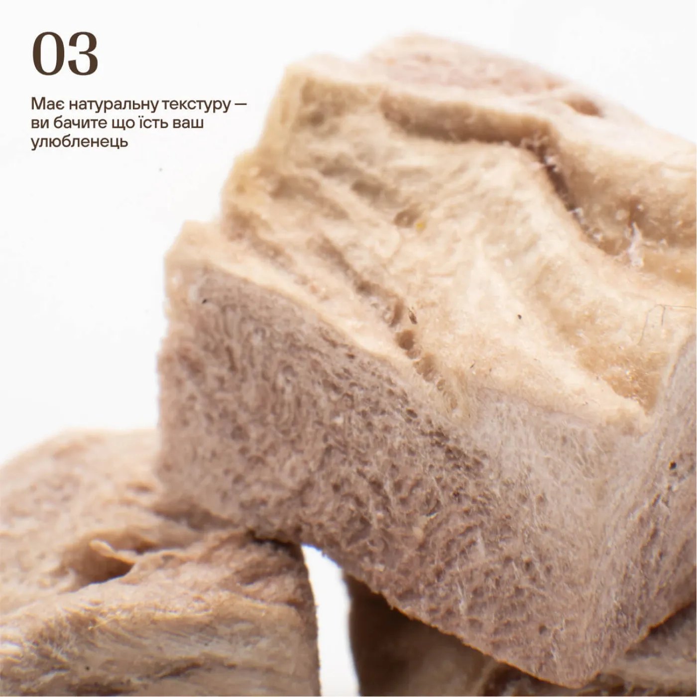 Ліофілізовані курячі шлунки для котів