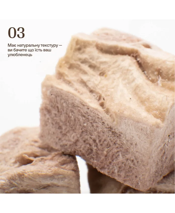 Ліофілізовані курячі шлунки для котів