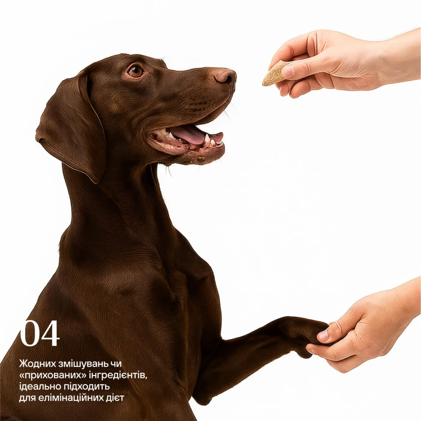 Freeze-dried chicken hearts