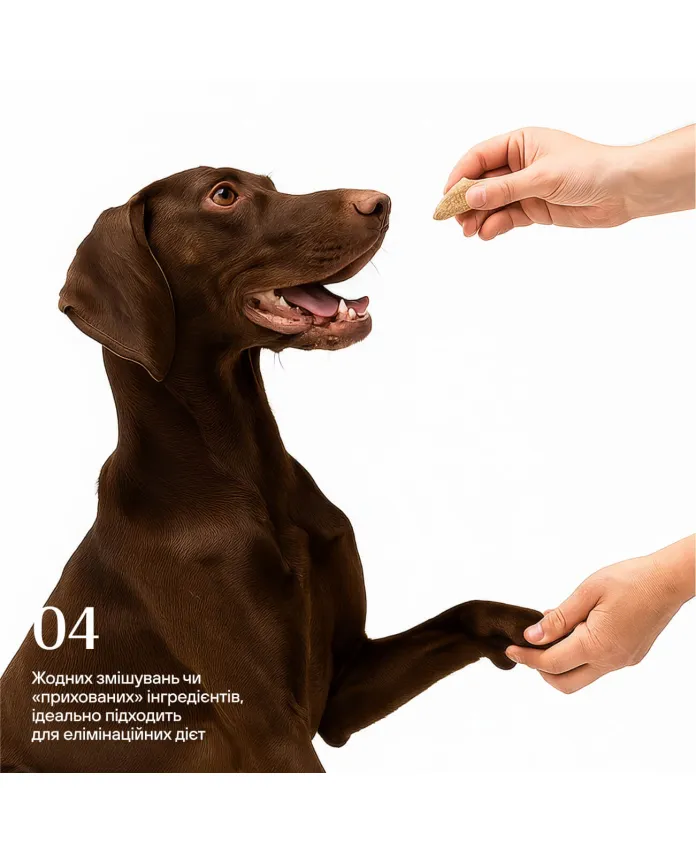 Freeze-dried chicken hearts