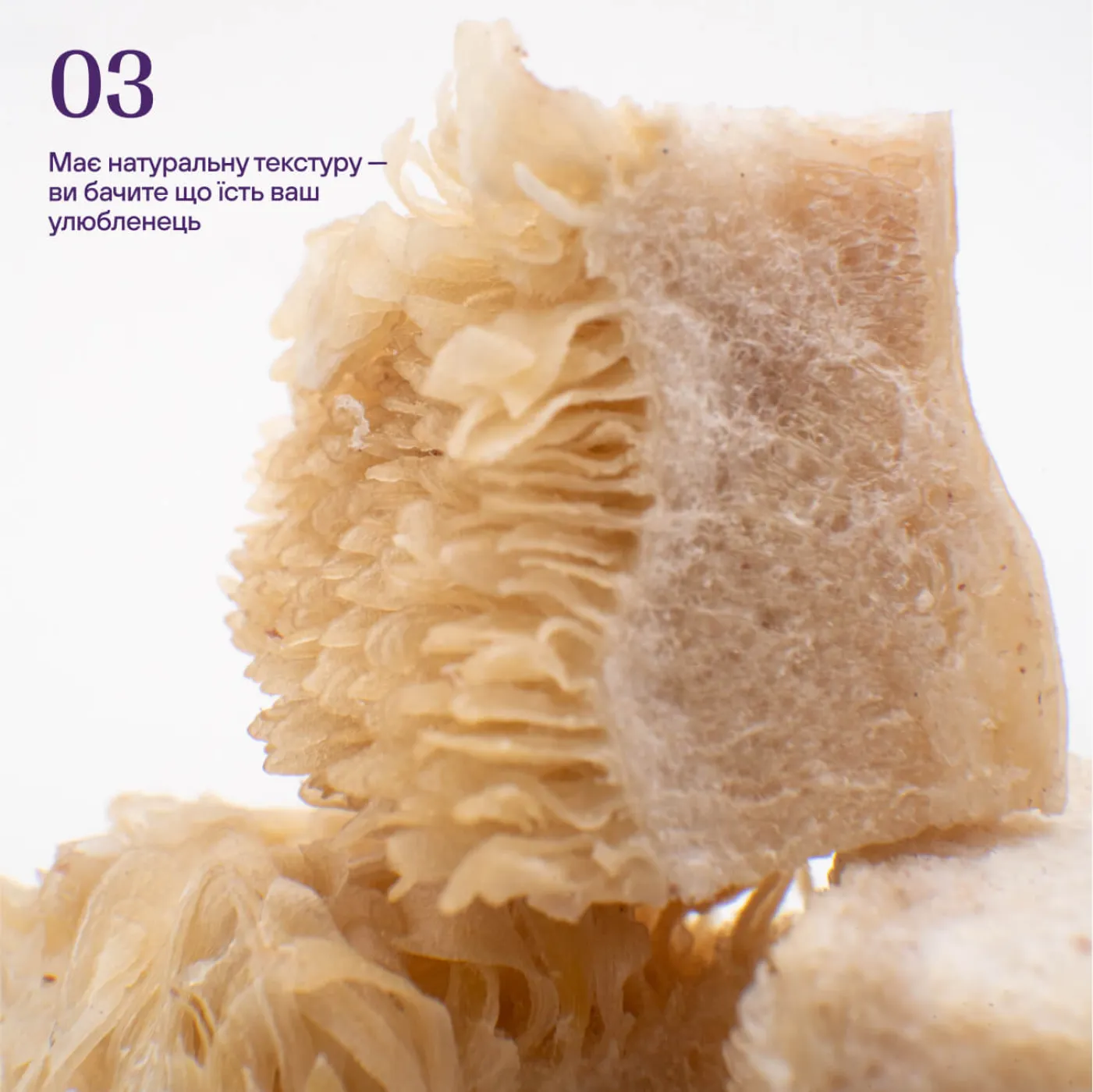 Freeze-dried beef stomach