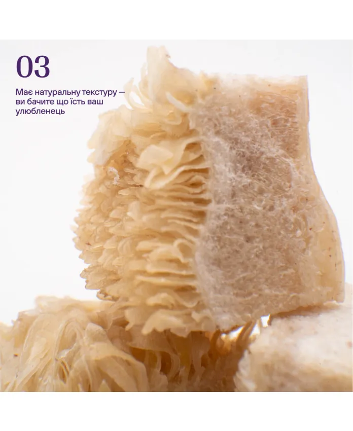 Freeze-dried beef stomach