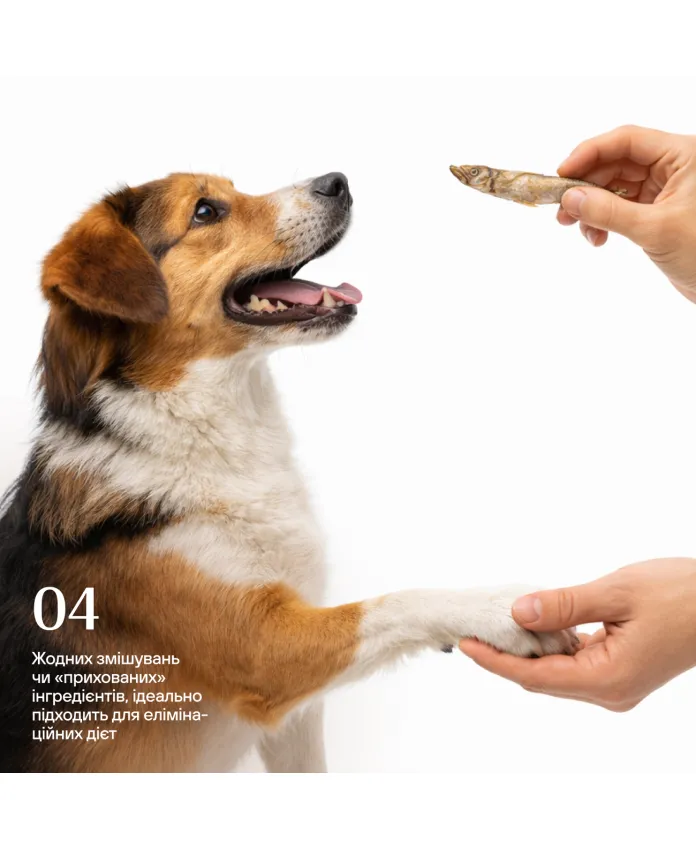 Кілька для собак