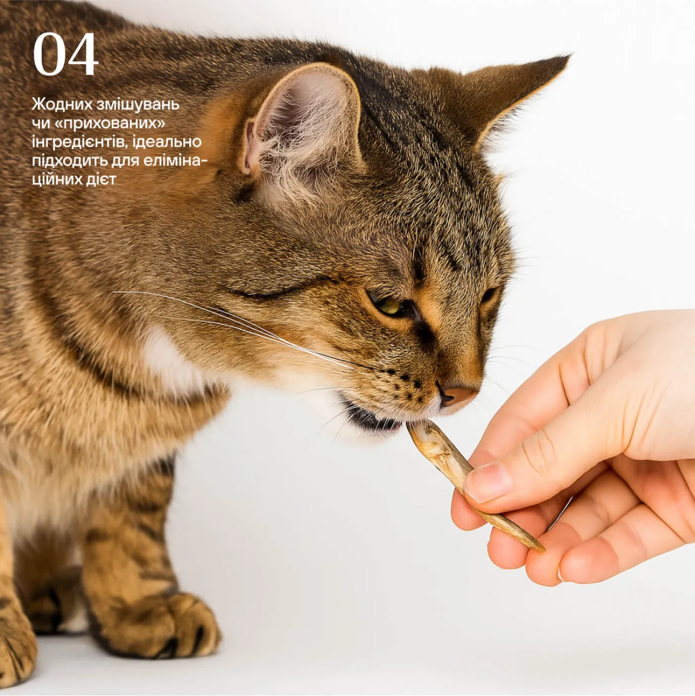 Ліофілізовані кільки для котів