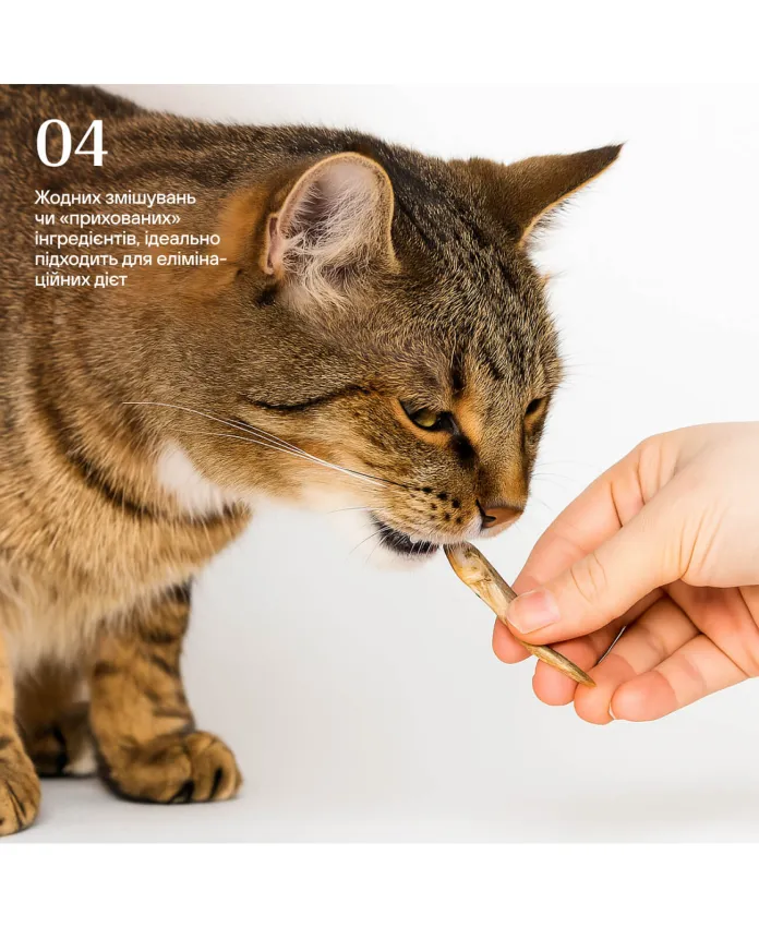 Ліофілізовані кільки для котів