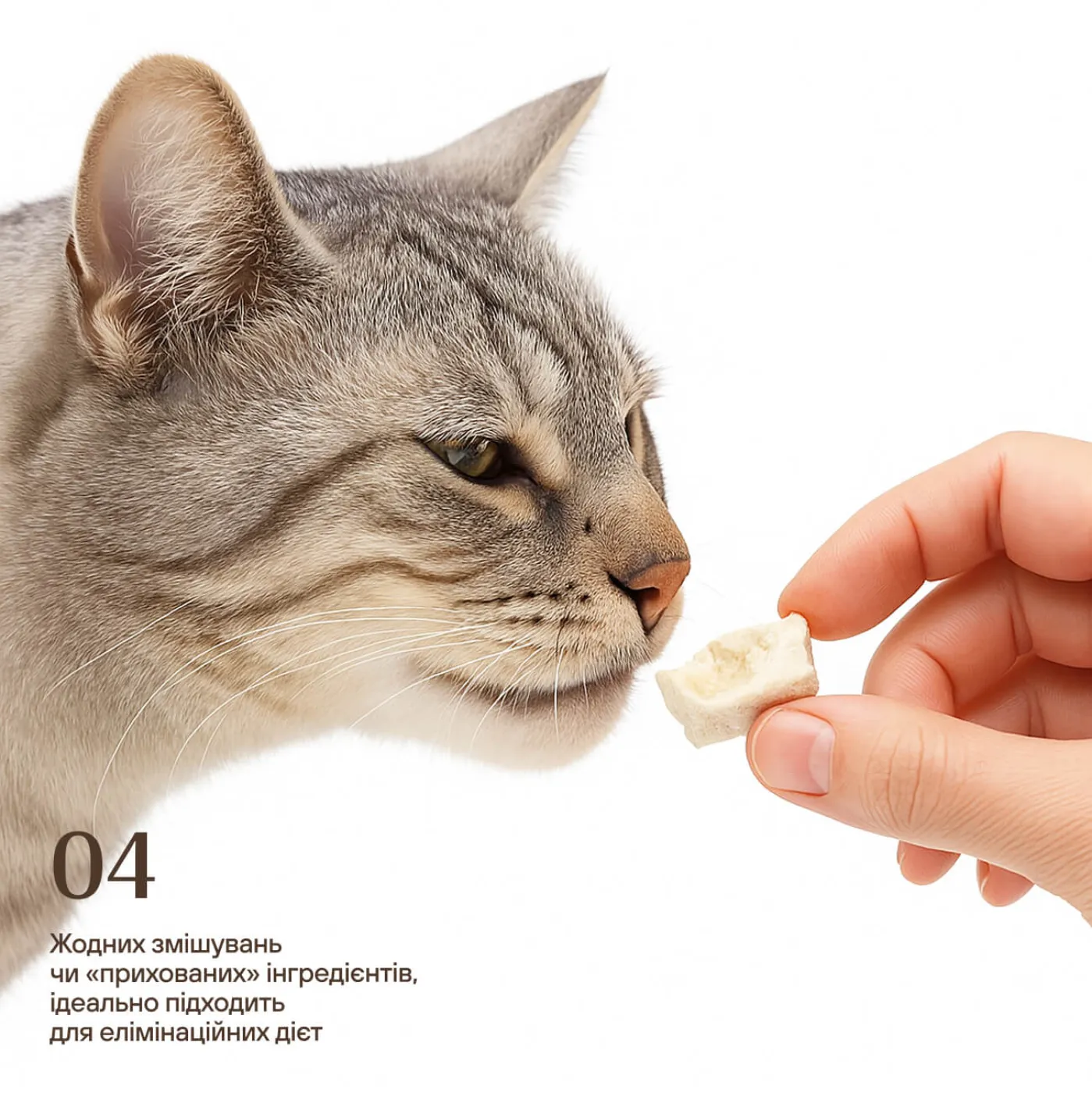 Ліофілізовані курячі шлунки для котів