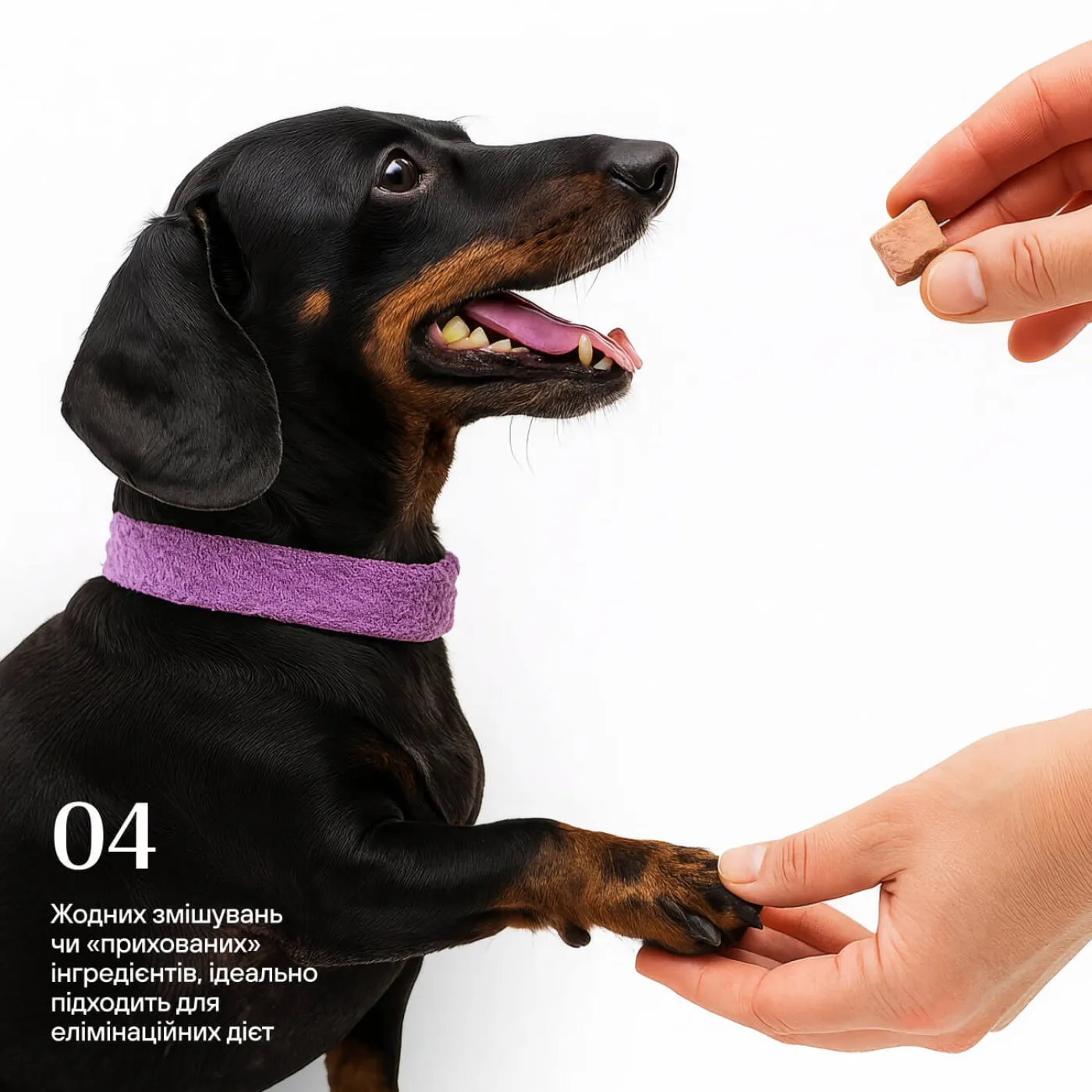 Freeze-dried beef lungs