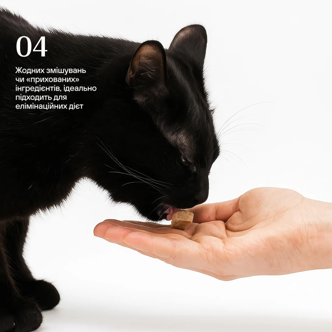 Ліофілізовані курячі серця для котів