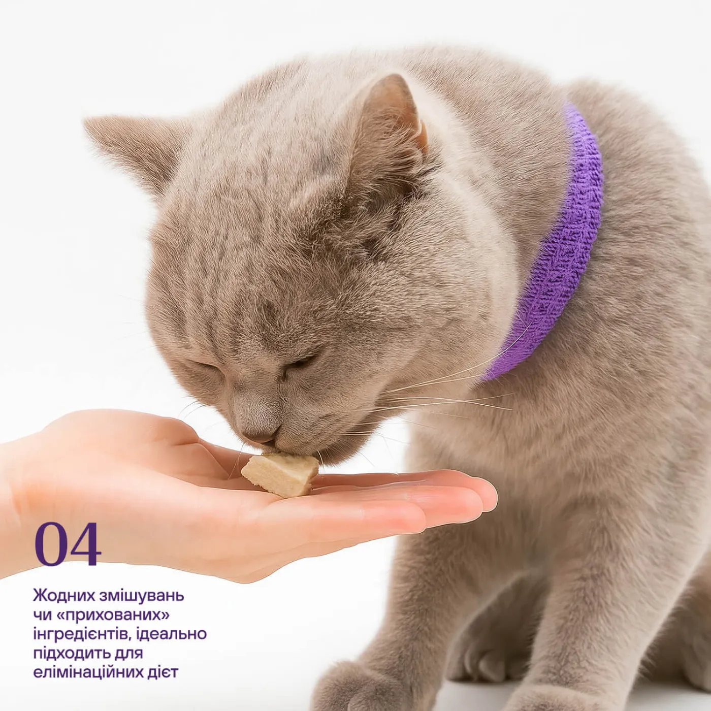 Freeze-dried beef stomach