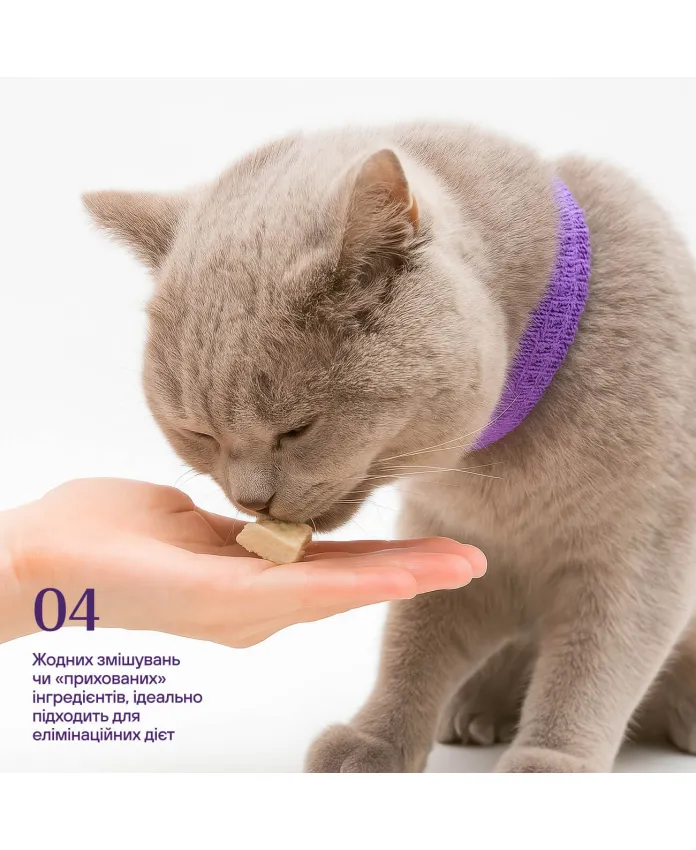 Freeze-dried beef stomach