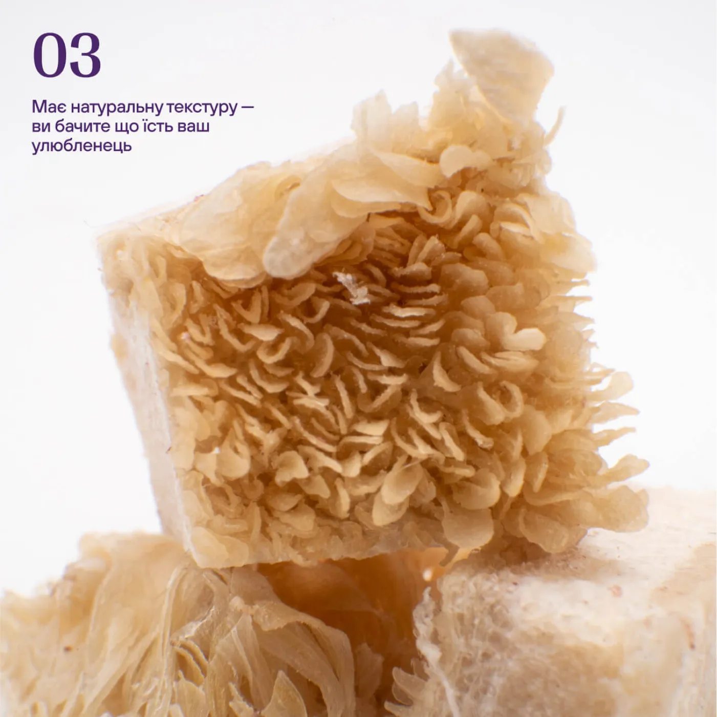 Freeze-dried beef tripe