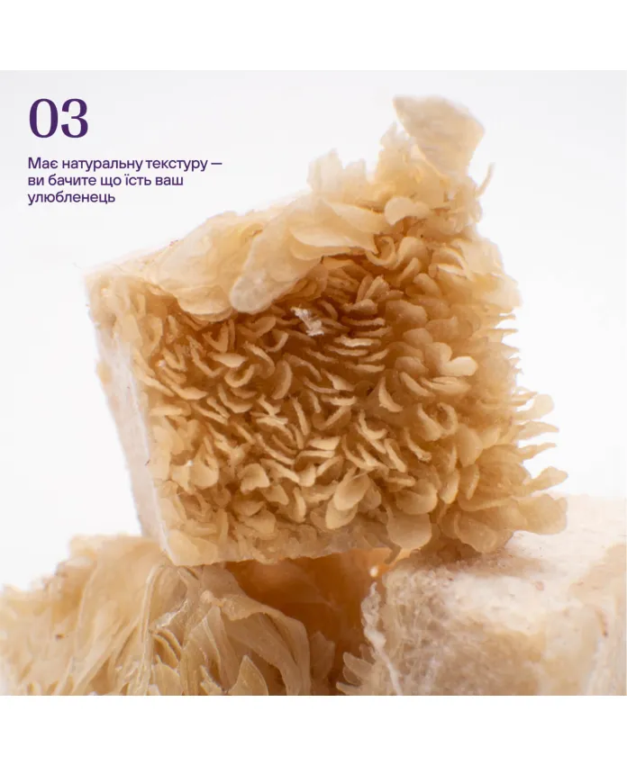 Freeze-dried beef tripe