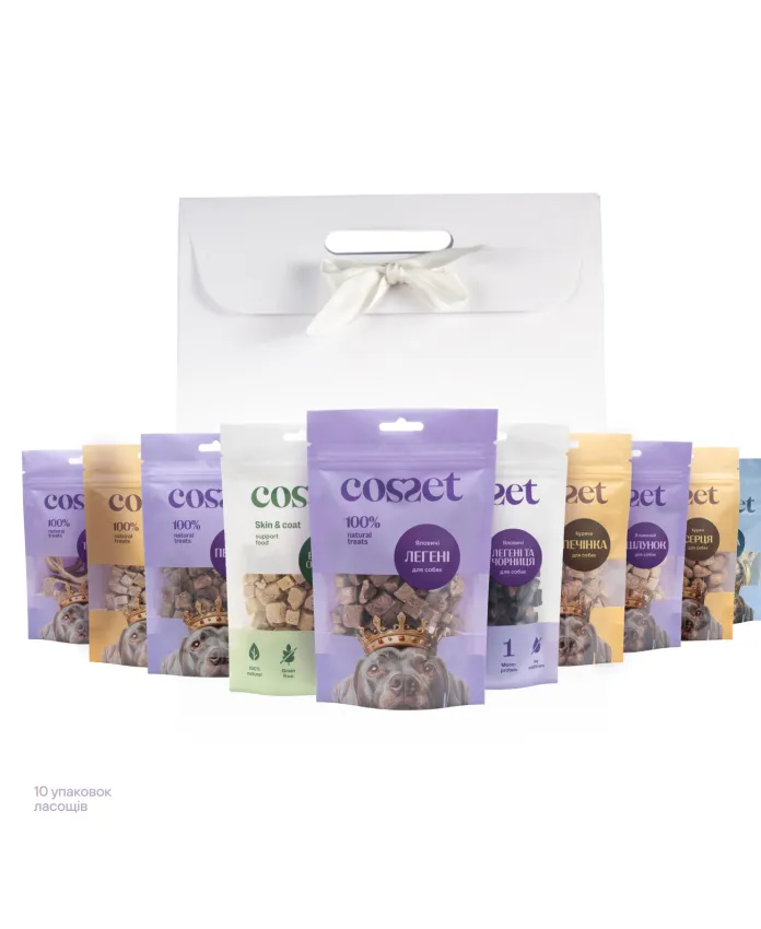 Зимовий подарунковий набір для собак