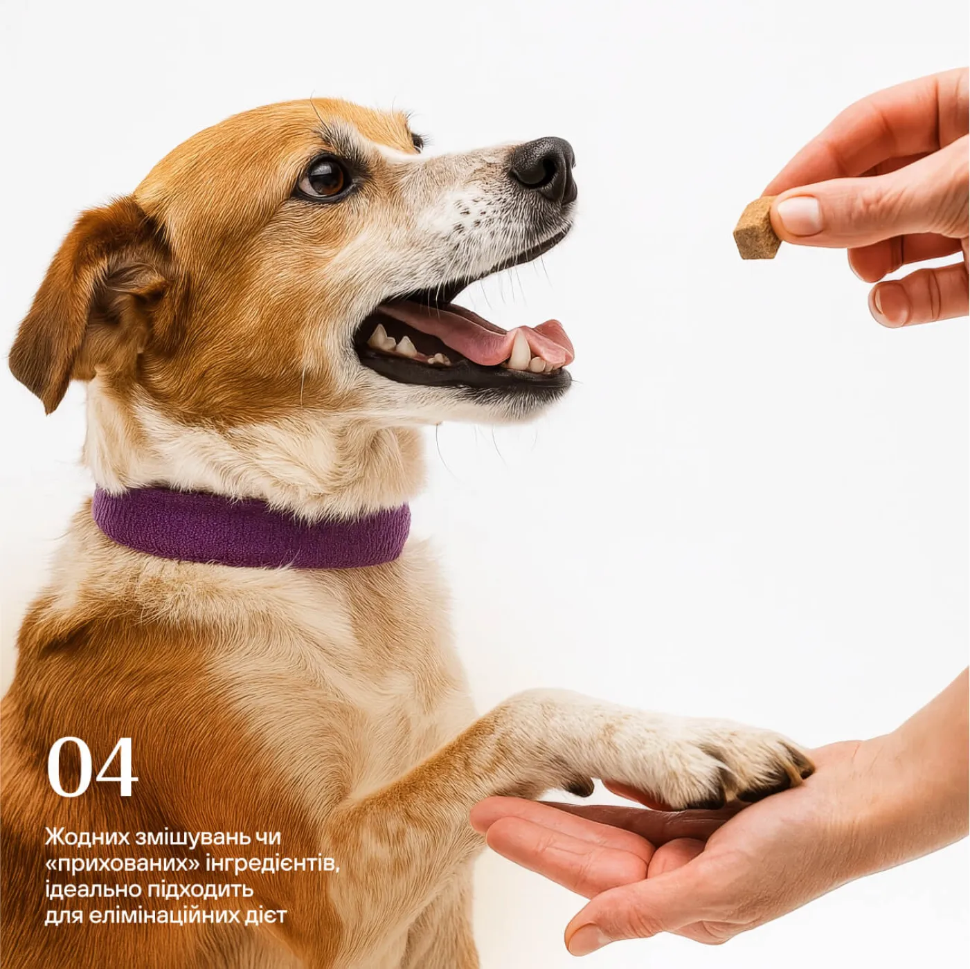 Freeze-dried beef liver