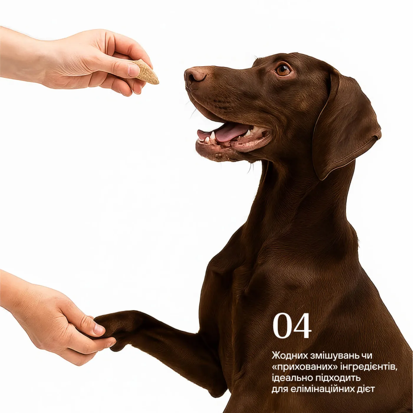 Freeze-dried chicken liver