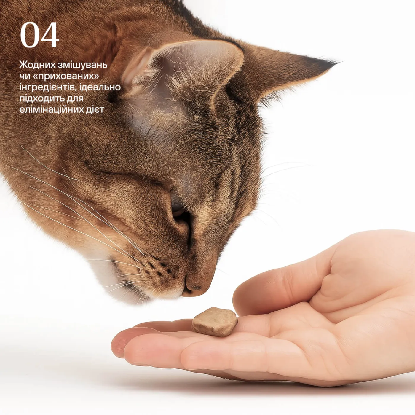 Freeze-dried chicken liver