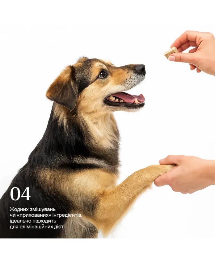 Freeze-dried beef tripe