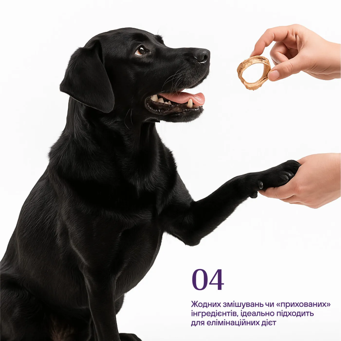 Freeze-dried beef trachea