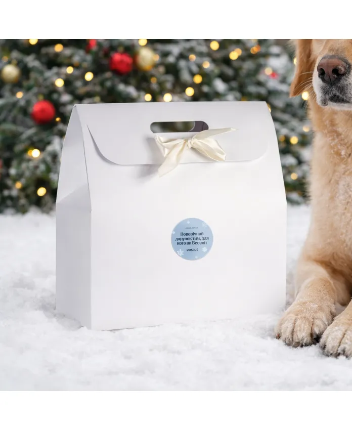 Зимовий подарунковий набір для собак