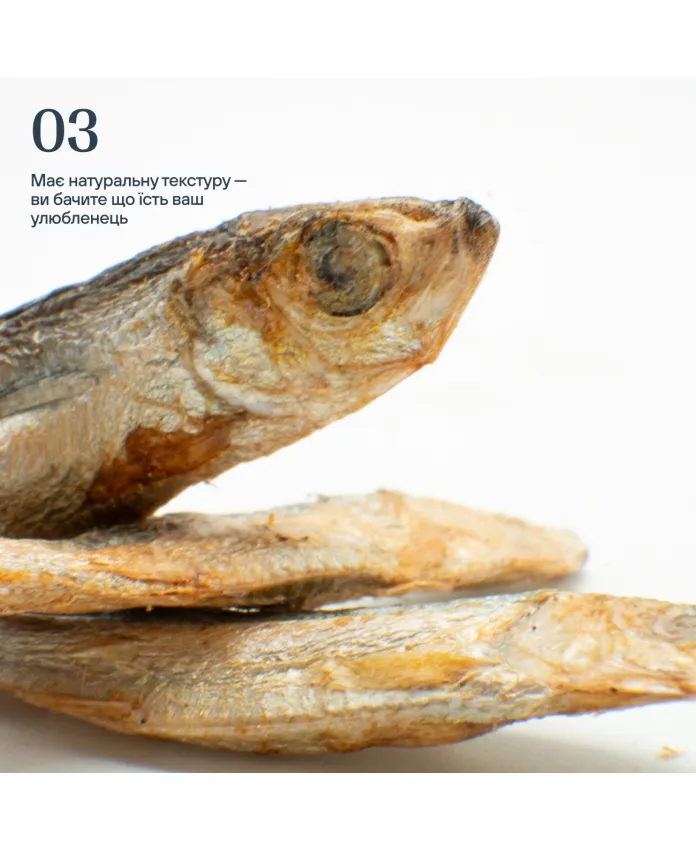 Кілька для собак